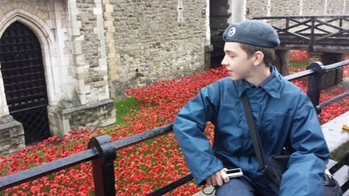 Tower Of London Poppies Cdt Pittman