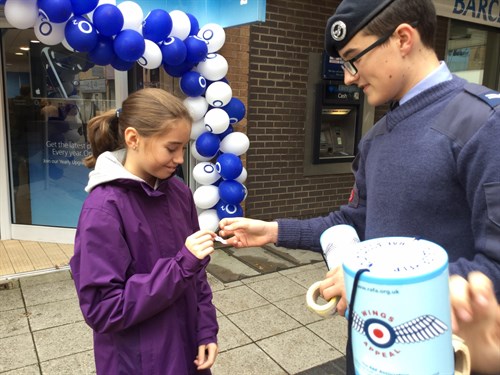 Cadet And Member Of Public Wings Appeal 2016